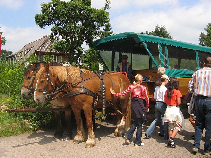 Mit_Pferd_und_Wagen_durch_Worpswede